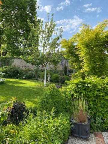 La Maison Des Buis Falaise  Extérieur photo