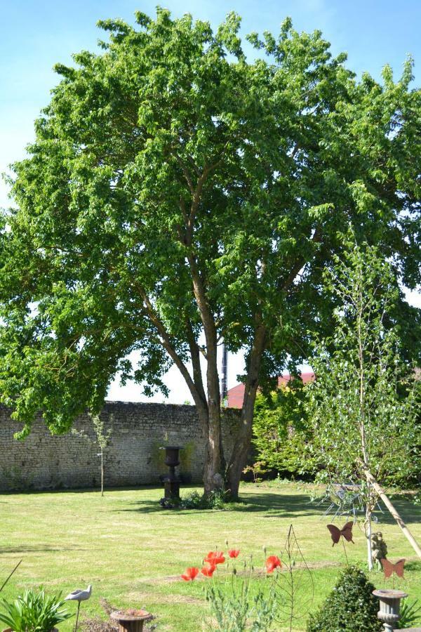 La Maison Des Buis Falaise  Extérieur photo